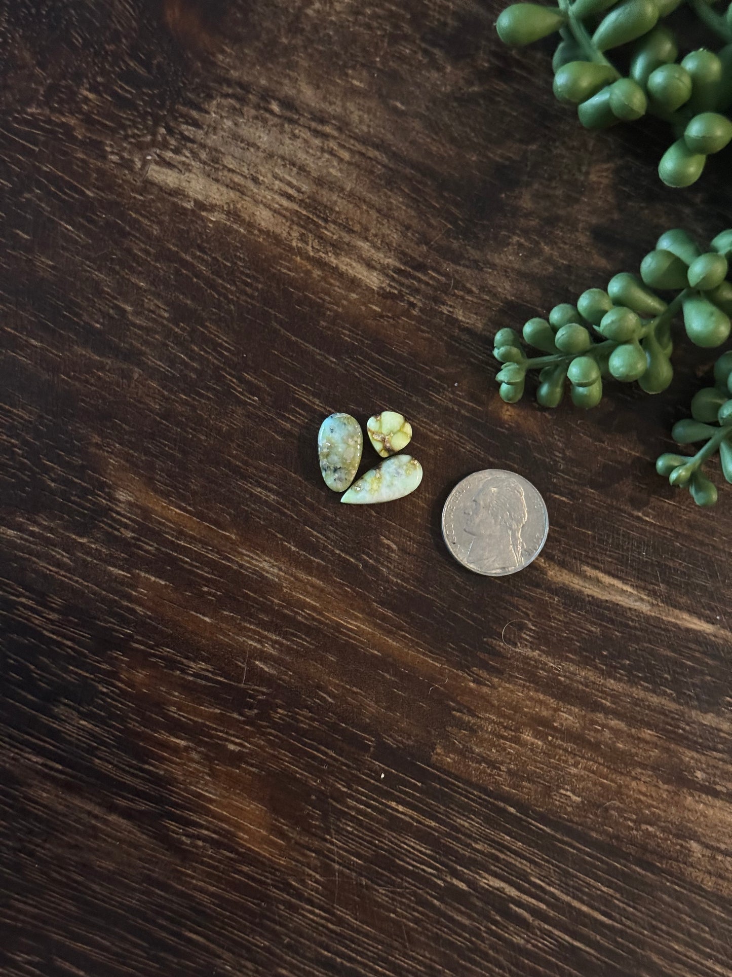 Palomino Variscite Cabs