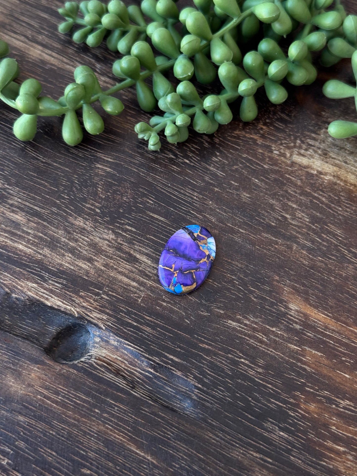 Purple Dahlia Composite Cabs