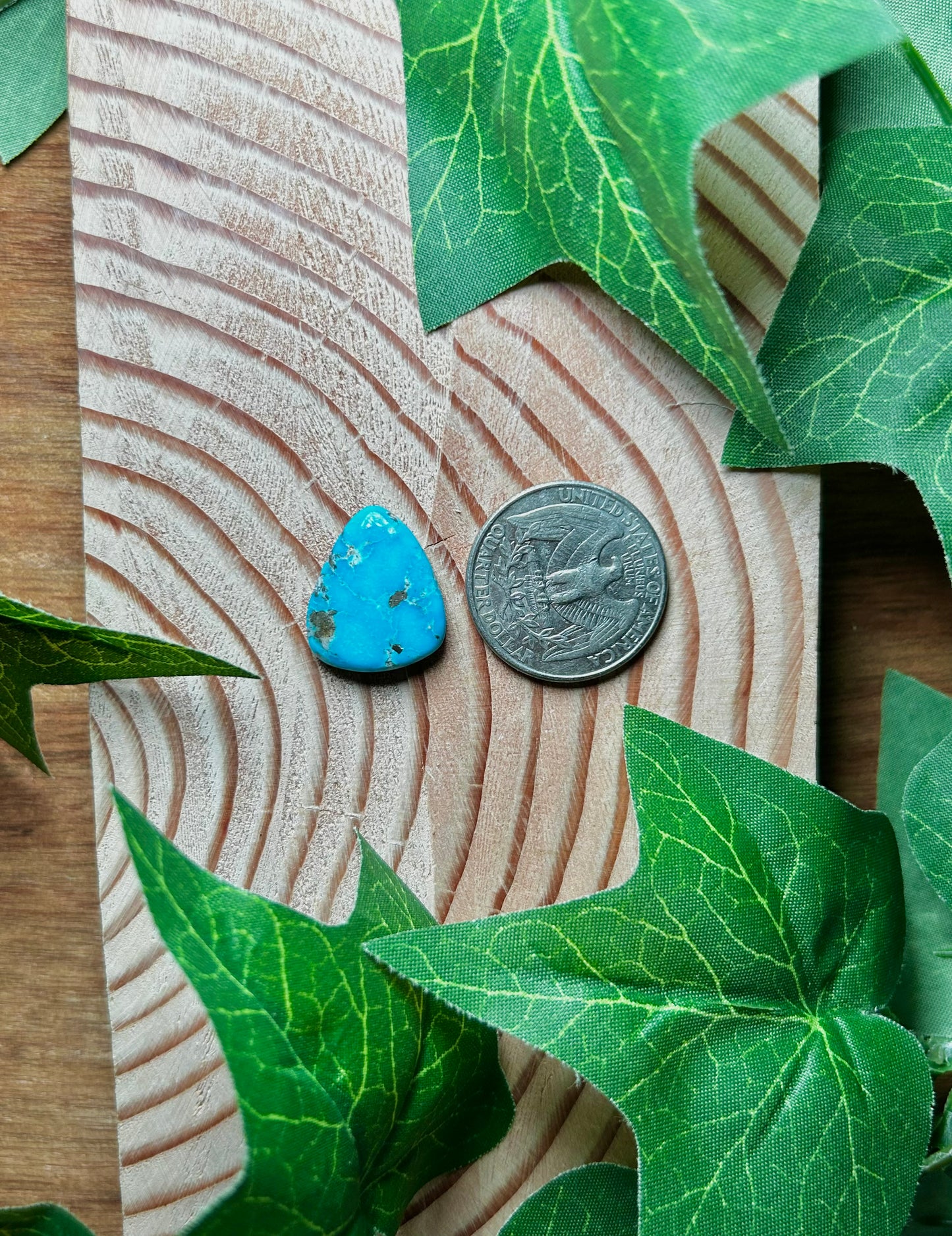 Blue Bird Turquoise Cabs