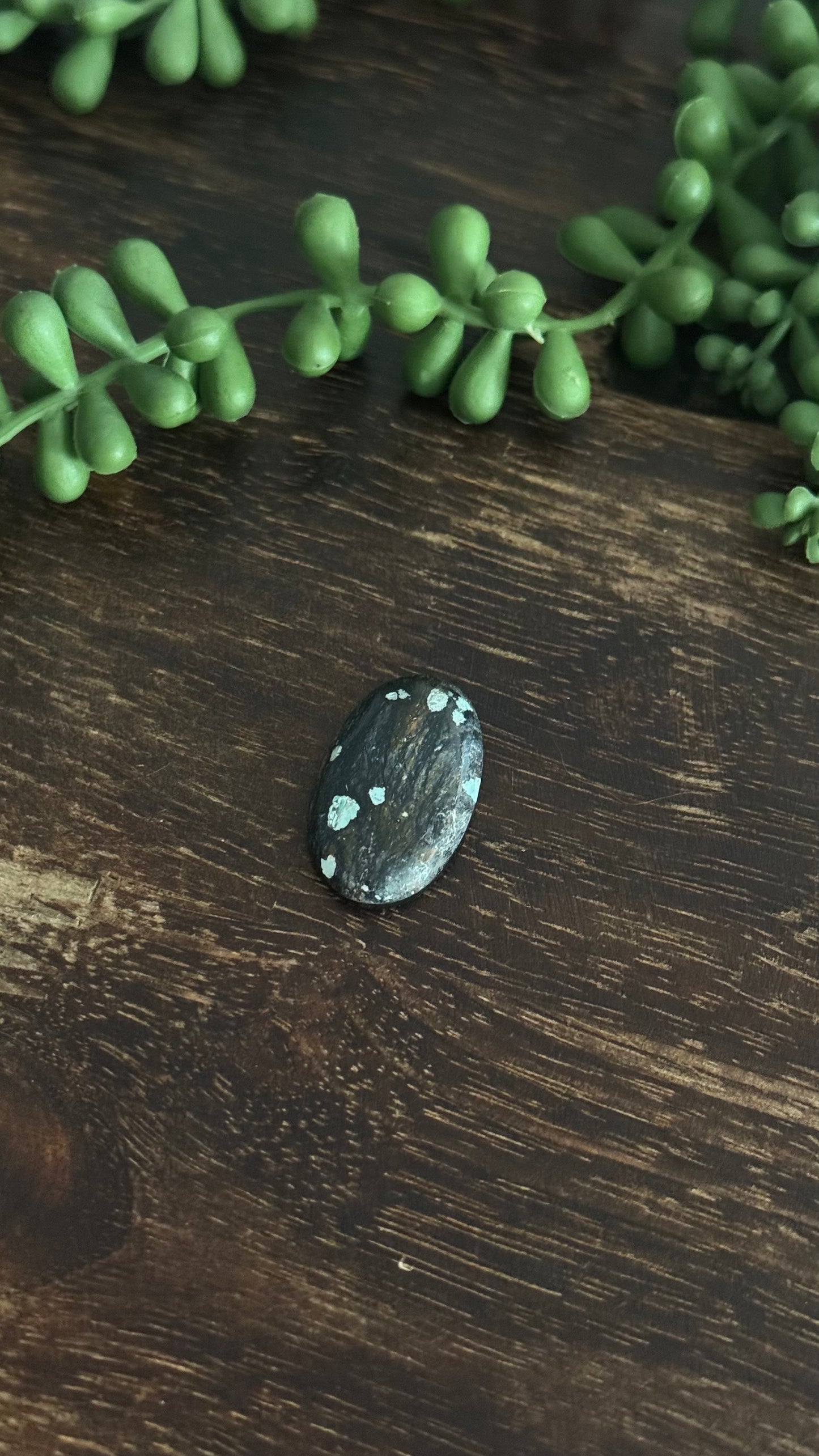 Black Jack Turquoise Cab