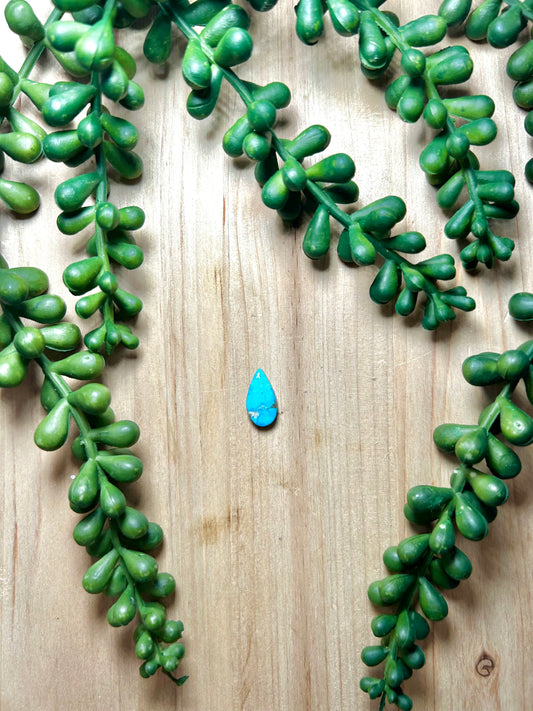 Blue Ridge Turquoise Cab