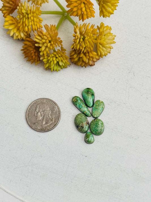Natural Sonoran Gold Turquoise Cabs