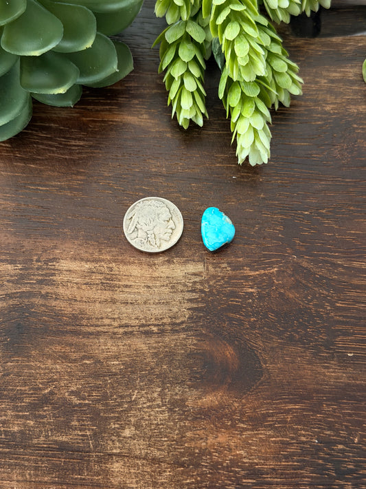 Blue Bird Turquoise Cab