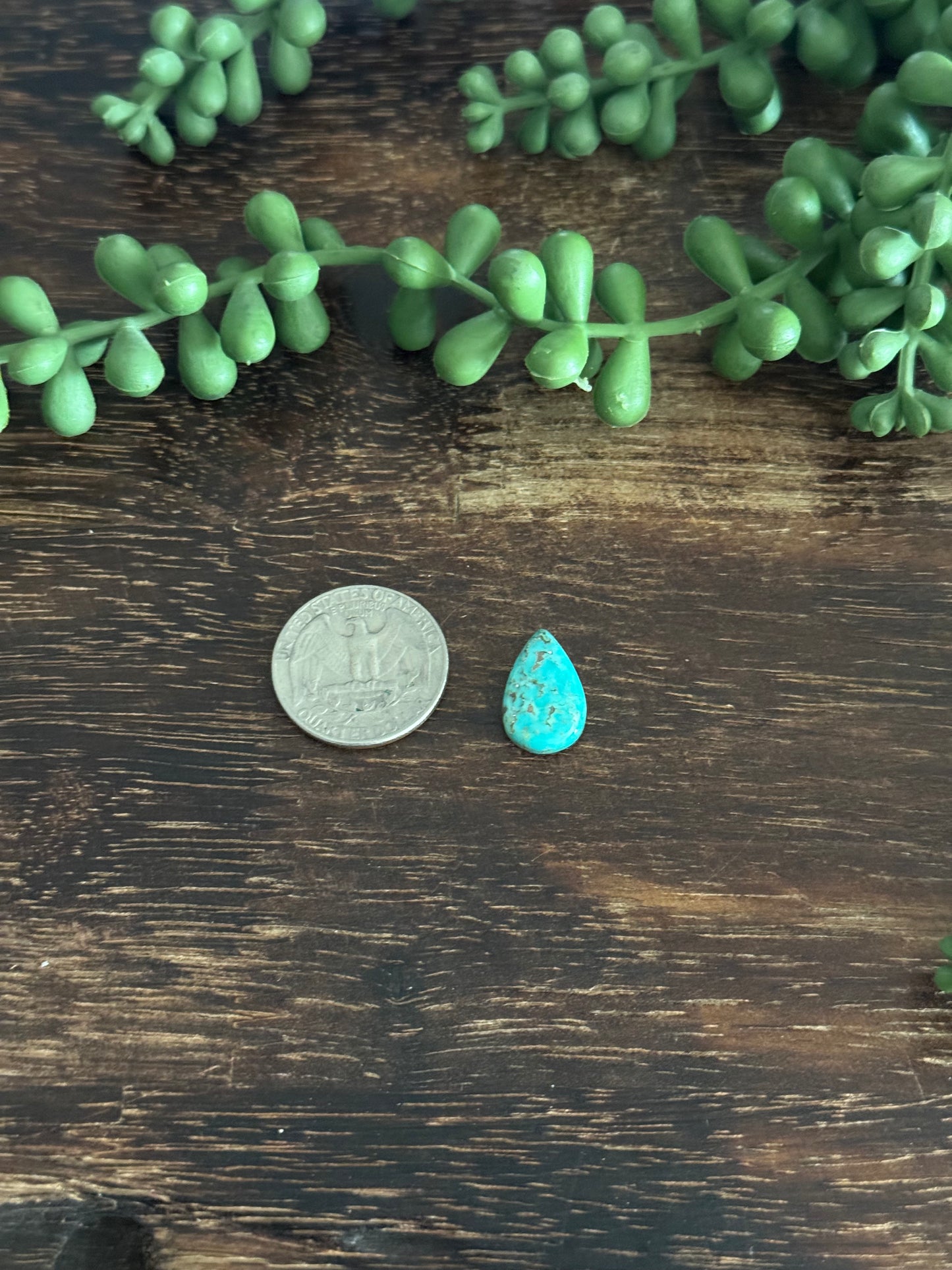 Kingman Turquoise Cab