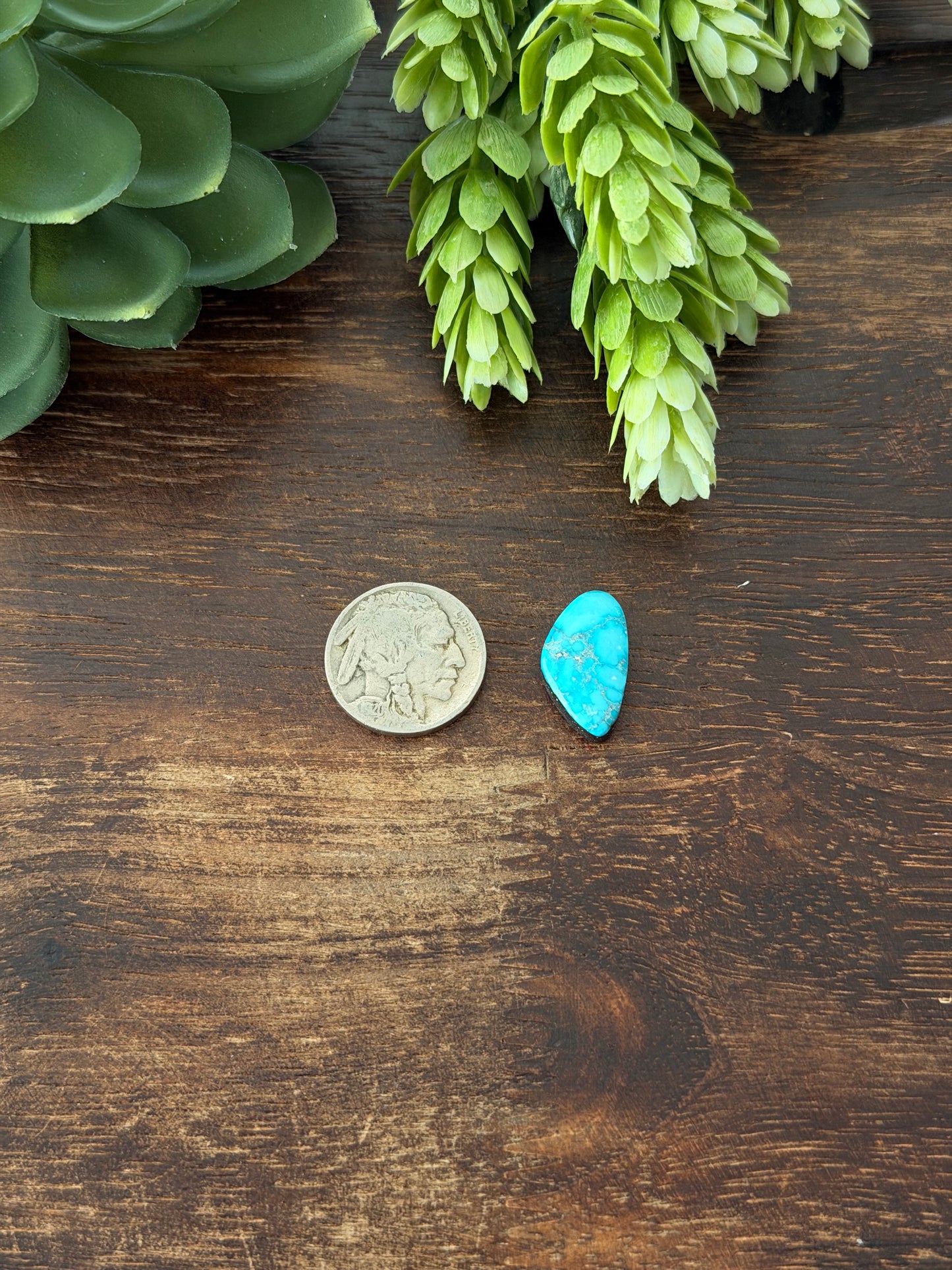 Blue Bird Turquoise Cab