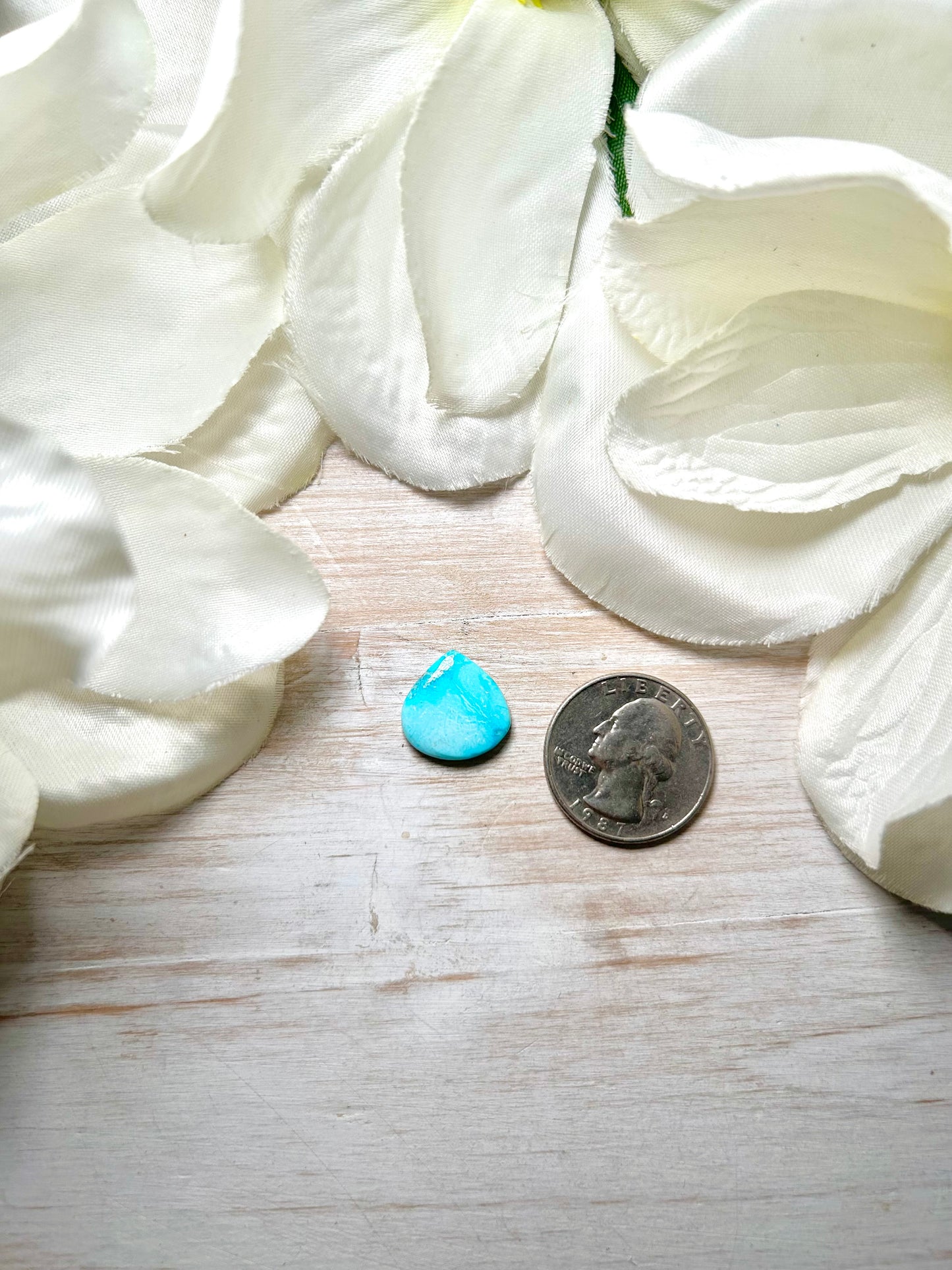 Blue Ridge Turquoise Cab