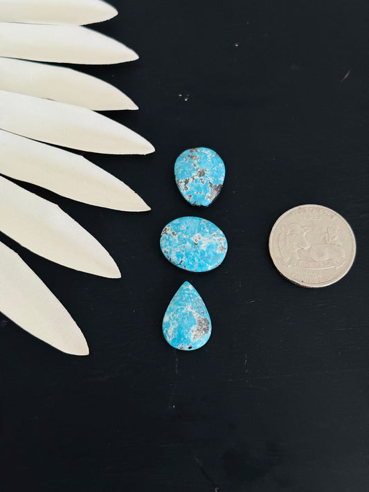 Blue Bird Turquoise Cabs