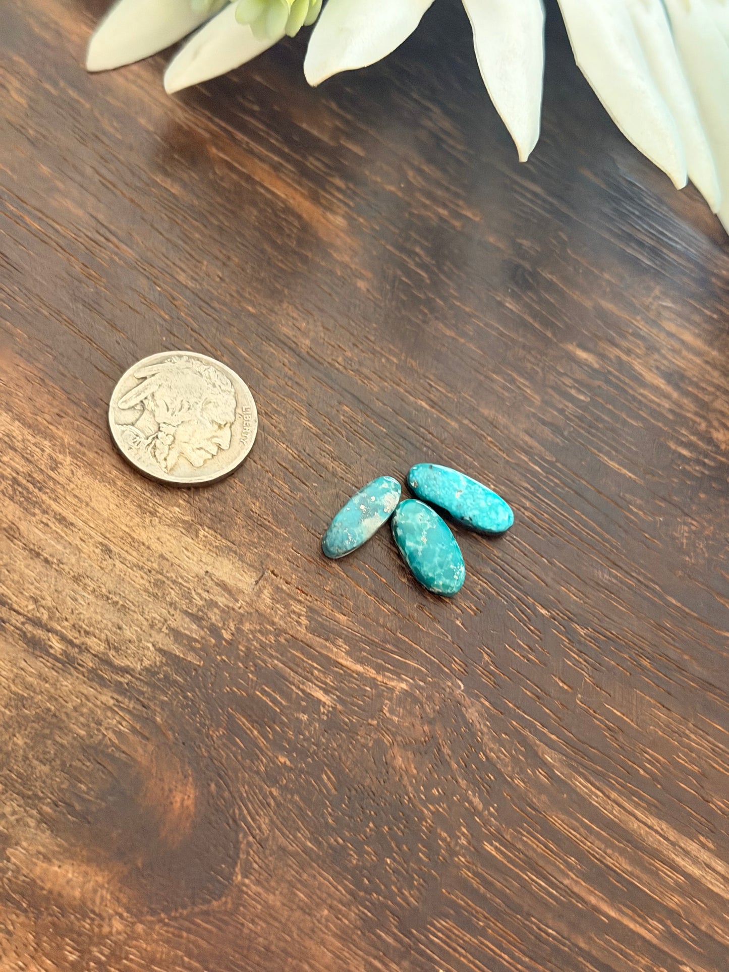 White Water Turquoise Cabs