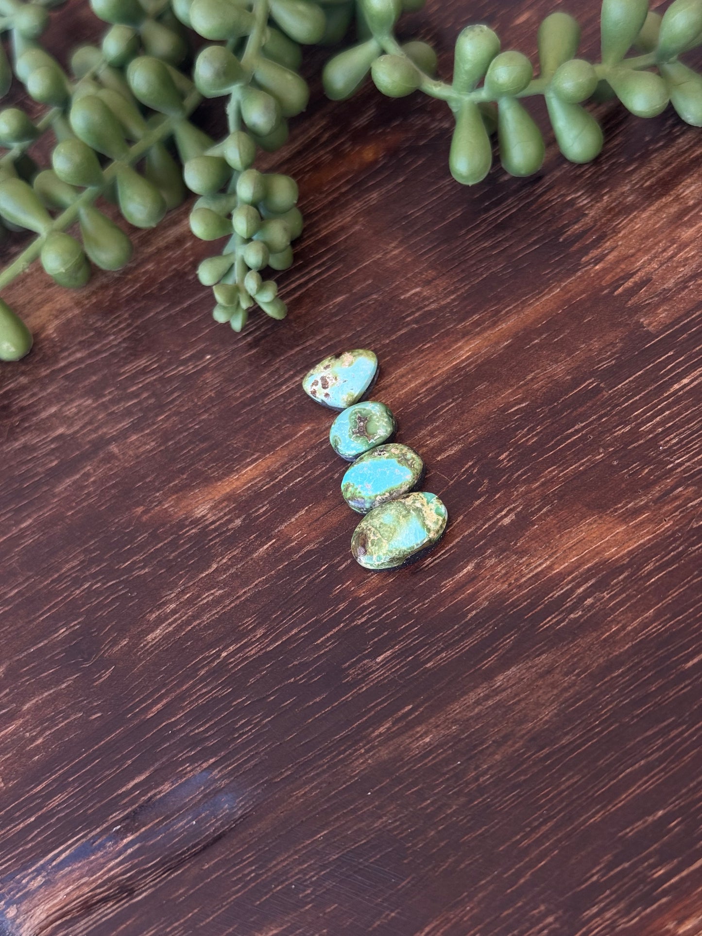 Sonoran Mountain Turquoise Cabs