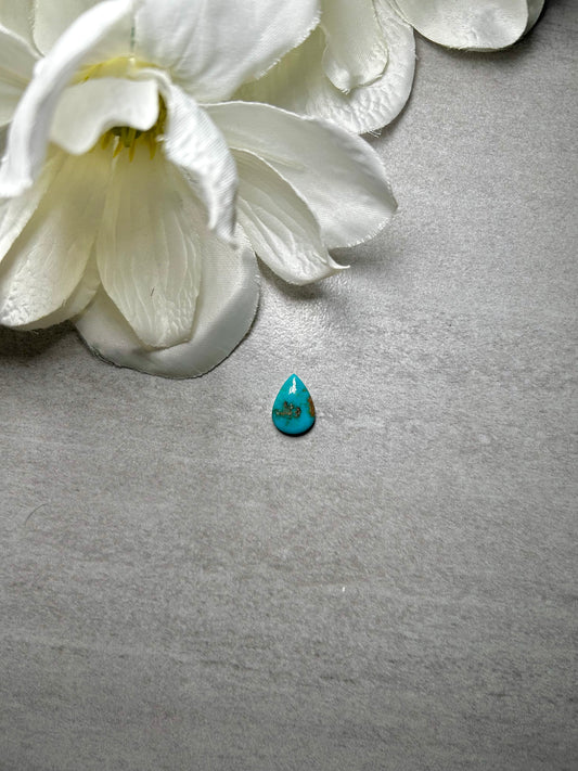 Kingman Turquoise Cab