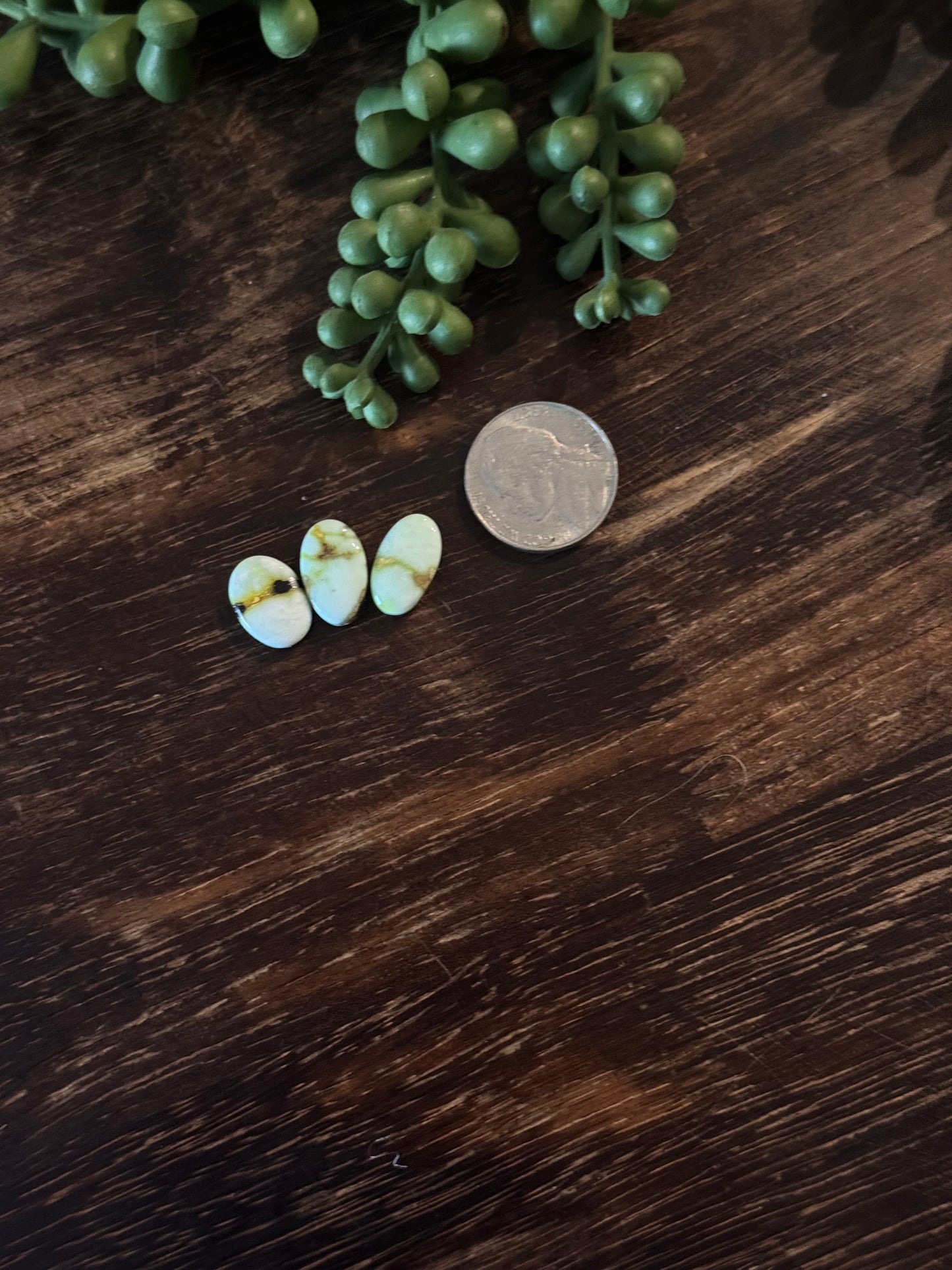 Palomino Variscite Cabs