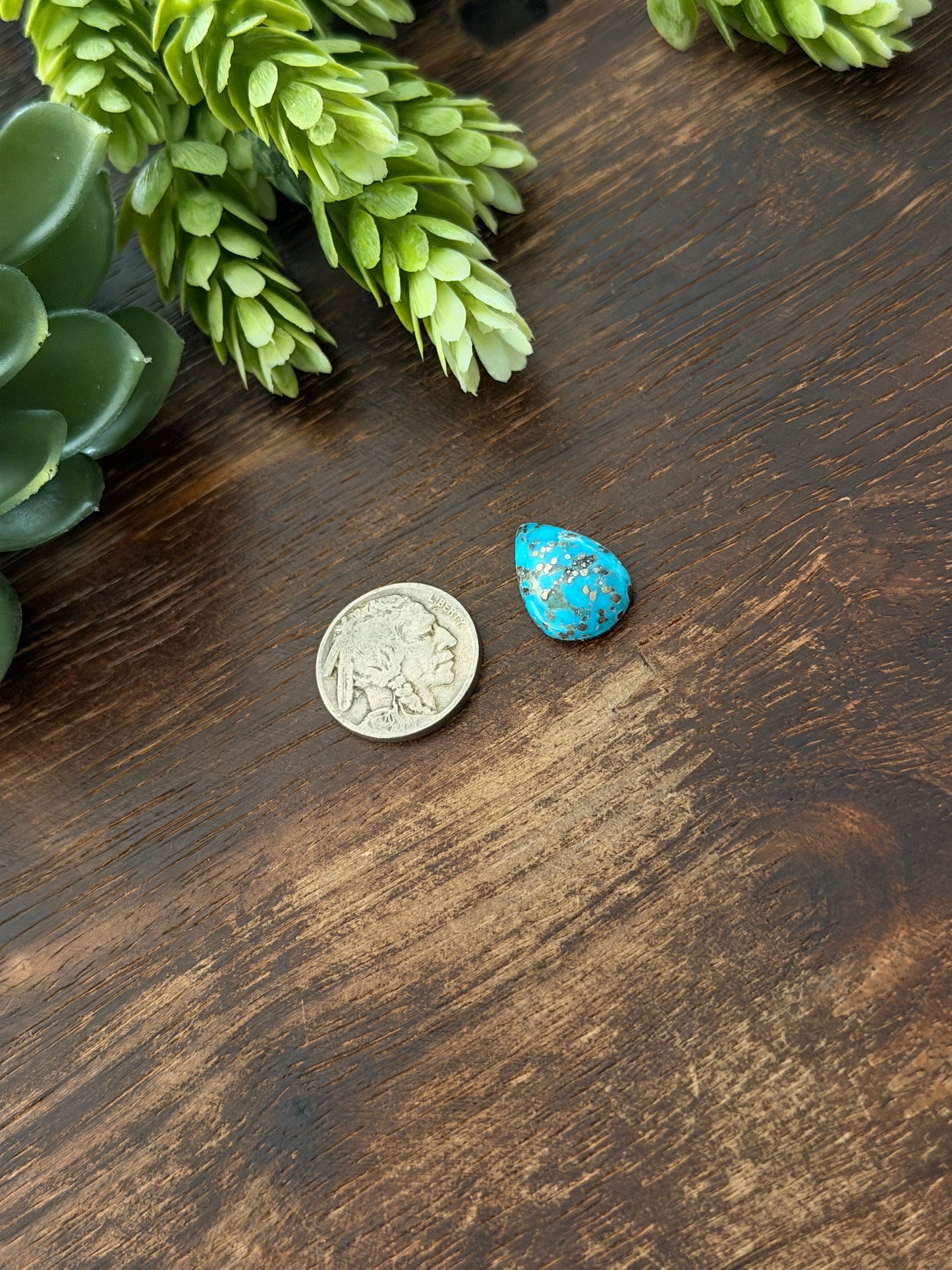 Blue Bird Turquoise Cab