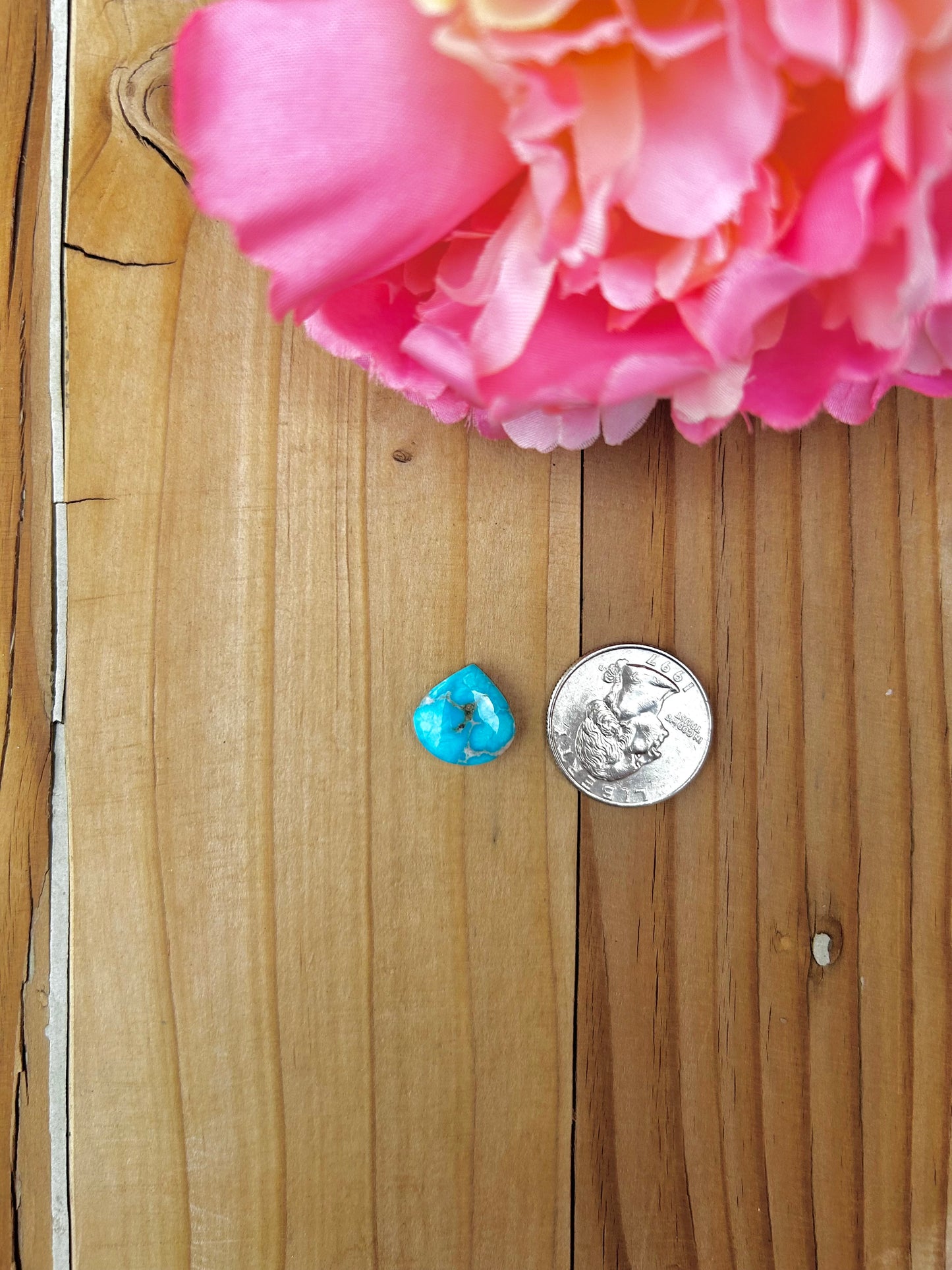 Blue Bird Turquoise Cabs