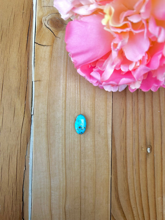 Blue Bird Turquoise Cabs