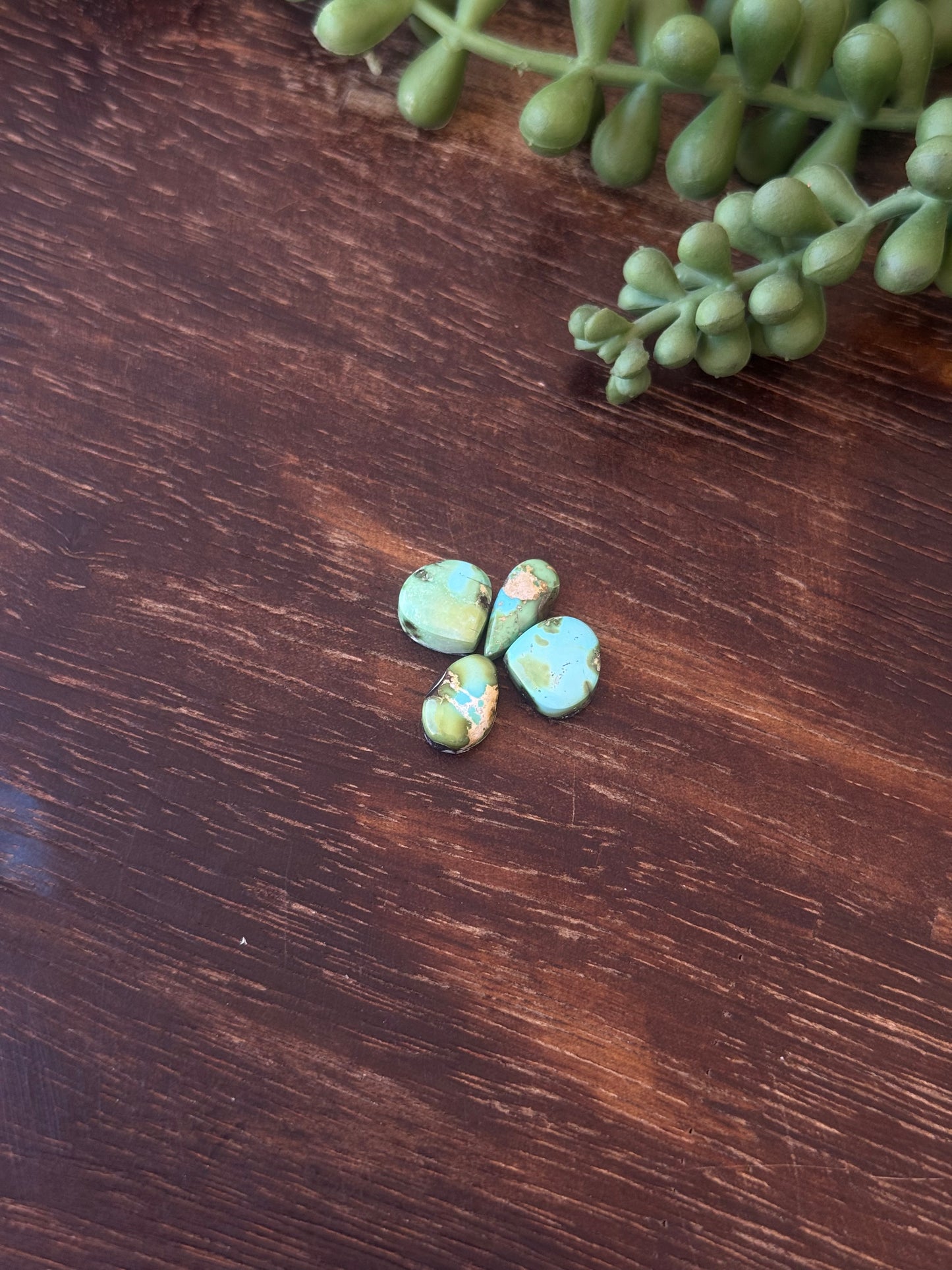 Sonoran Mountain Turquoise Cabs