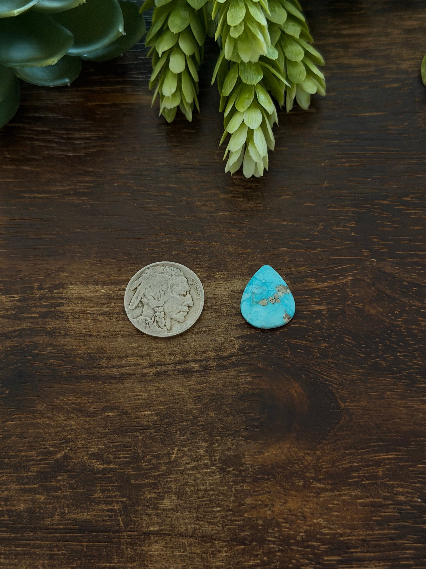 Blue Bird Turquoise Cab