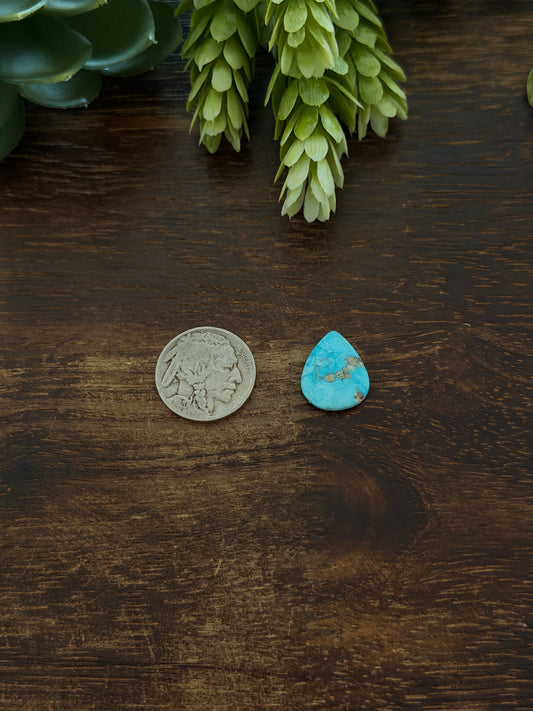 Blue Bird Turquoise Cab