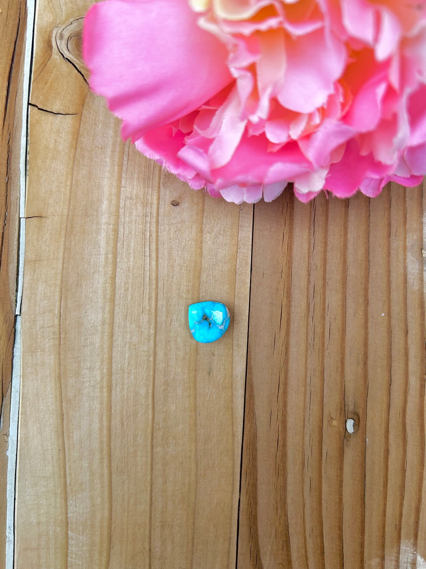 Blue Bird Turquoise Cabs