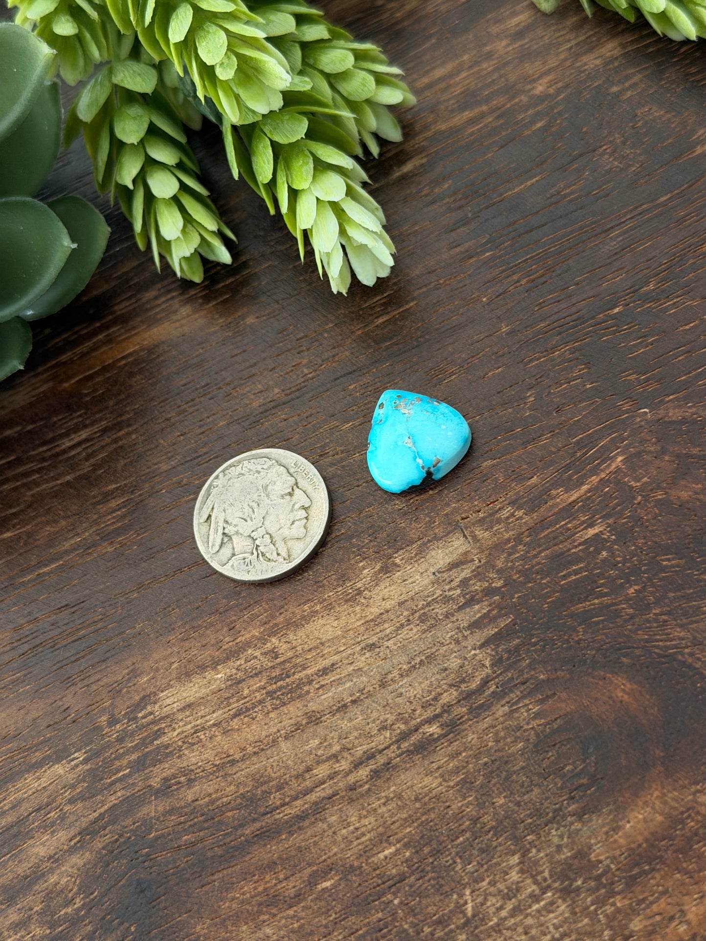 Blue Bird Turquoise Cab