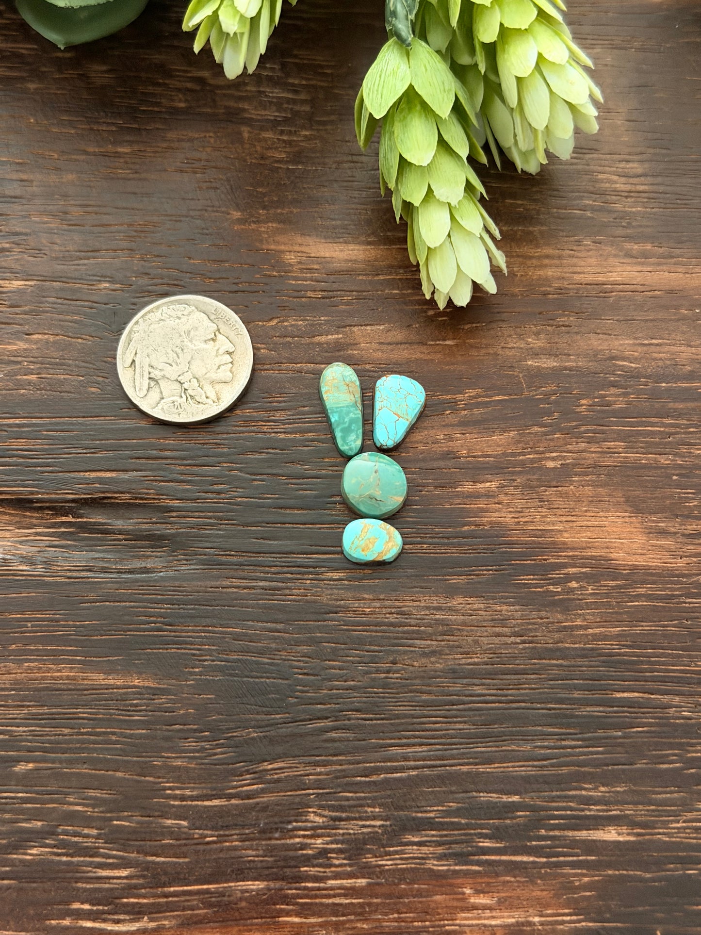 Evans Turquoise Cabs