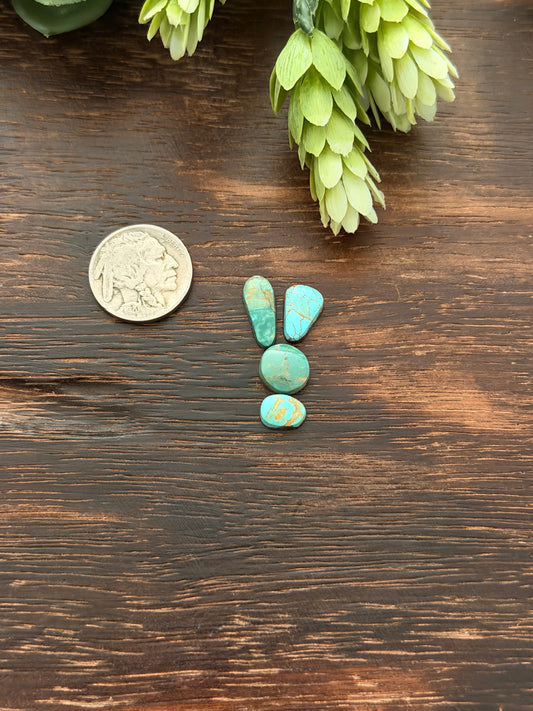 Evans Turquoise Cabs