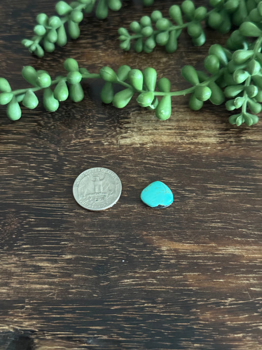 Kingman Turquoise Cab