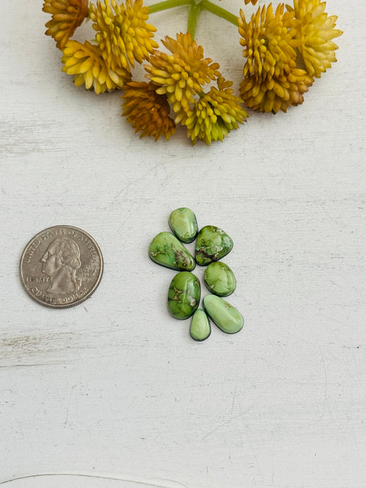 Natural Sonoran Gold Turquoise Cabs
