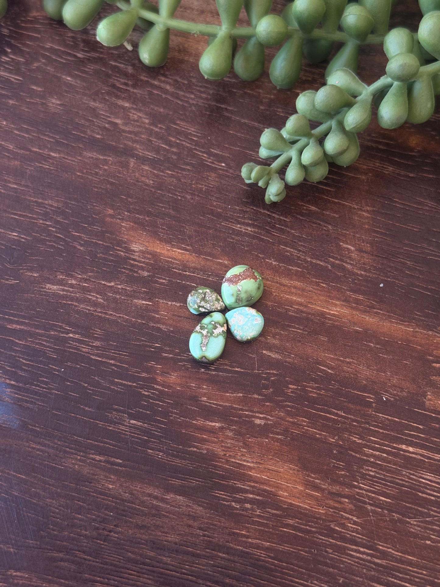 Sonoran Mountain Turquoise Cabs