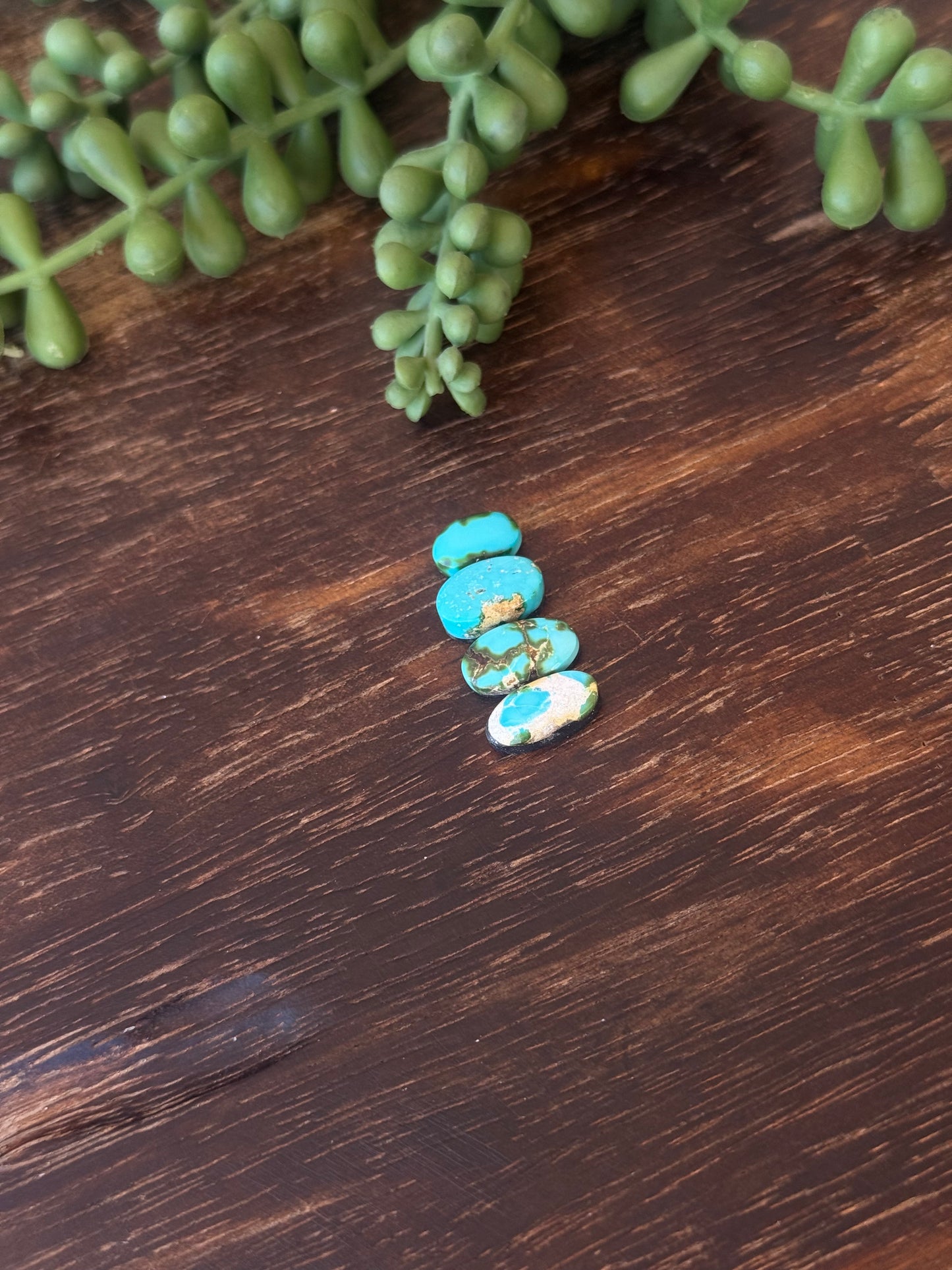 Sonoran Mountain Turquoise Cabs