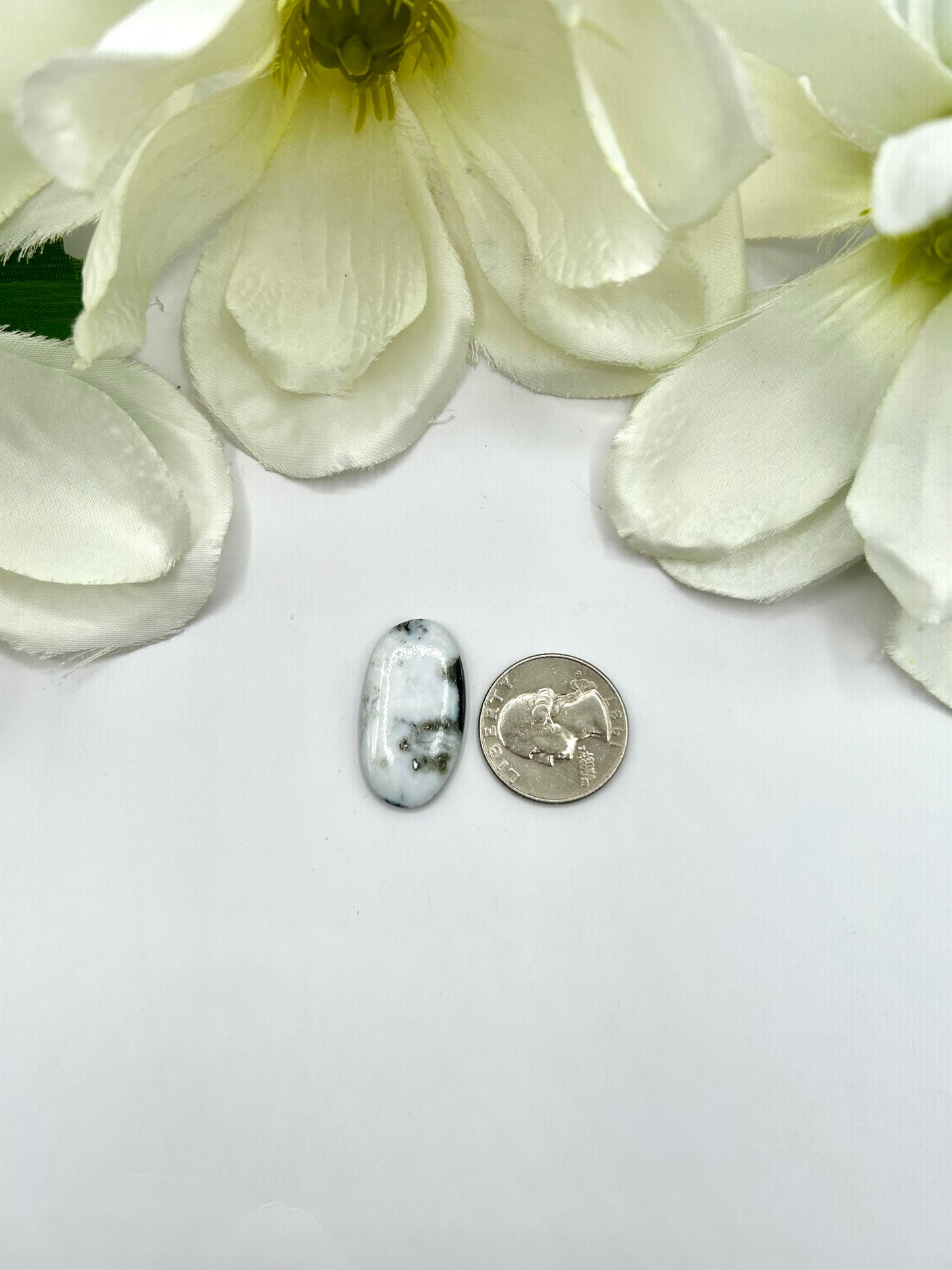 White Buffalo Cabs