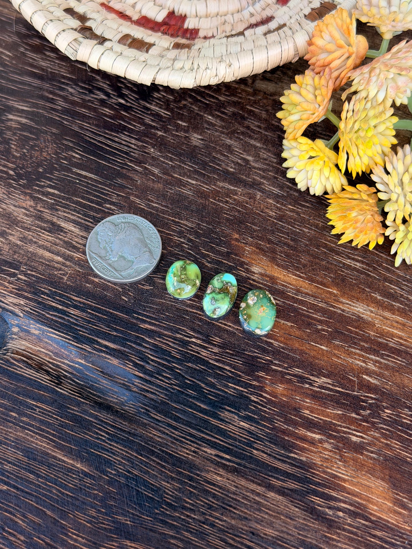 Sonoran Mountain Turquoise Cabs