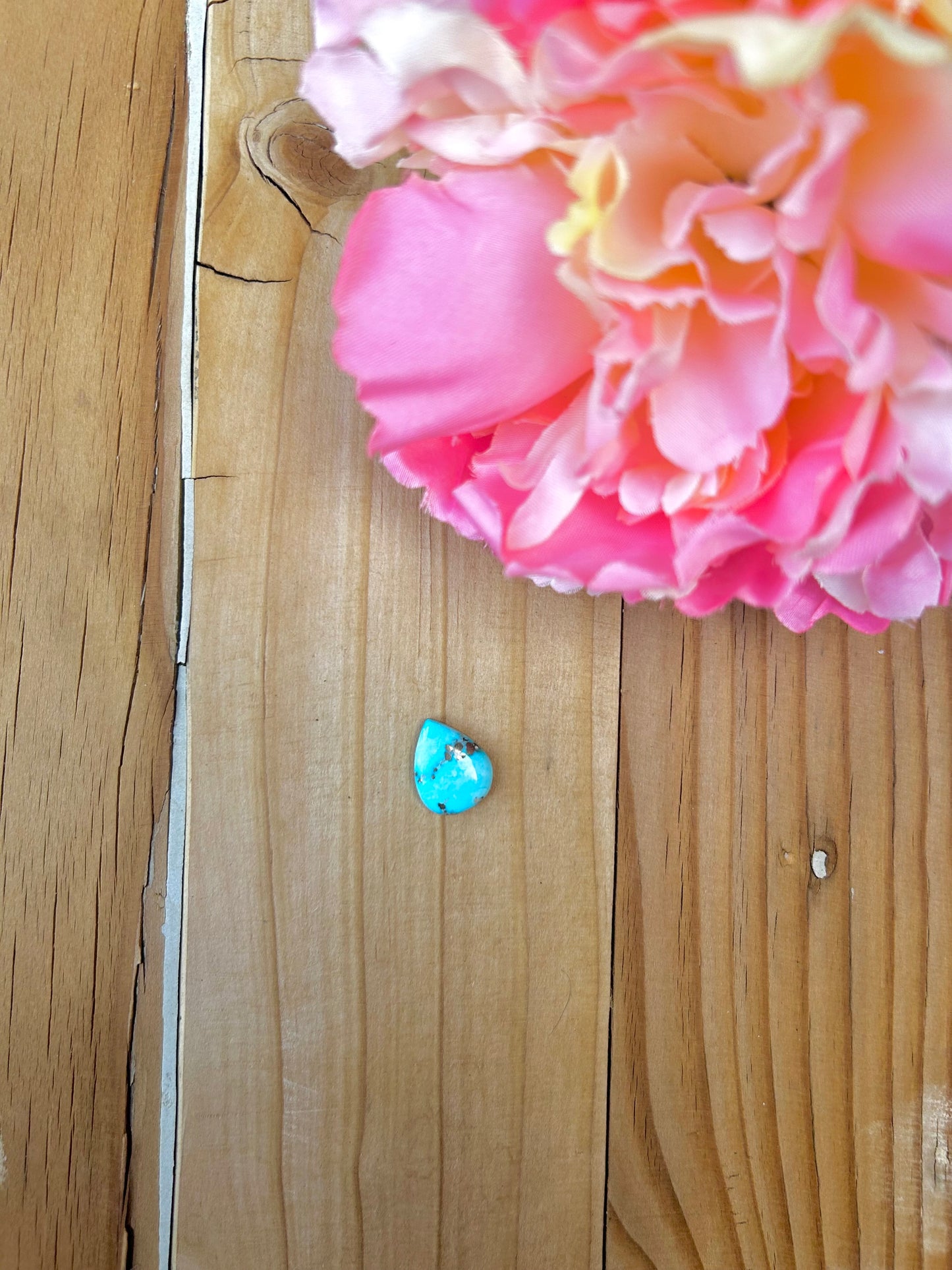 Blue Bird Turquoise Cabs