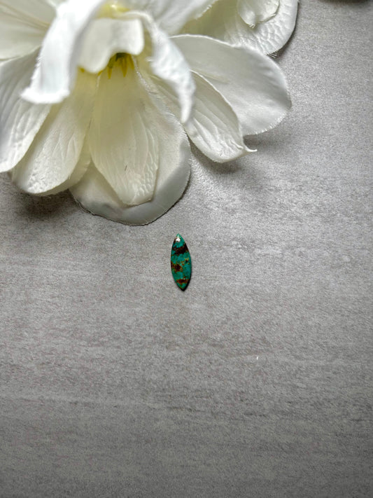 Kingman Turquoise Cab