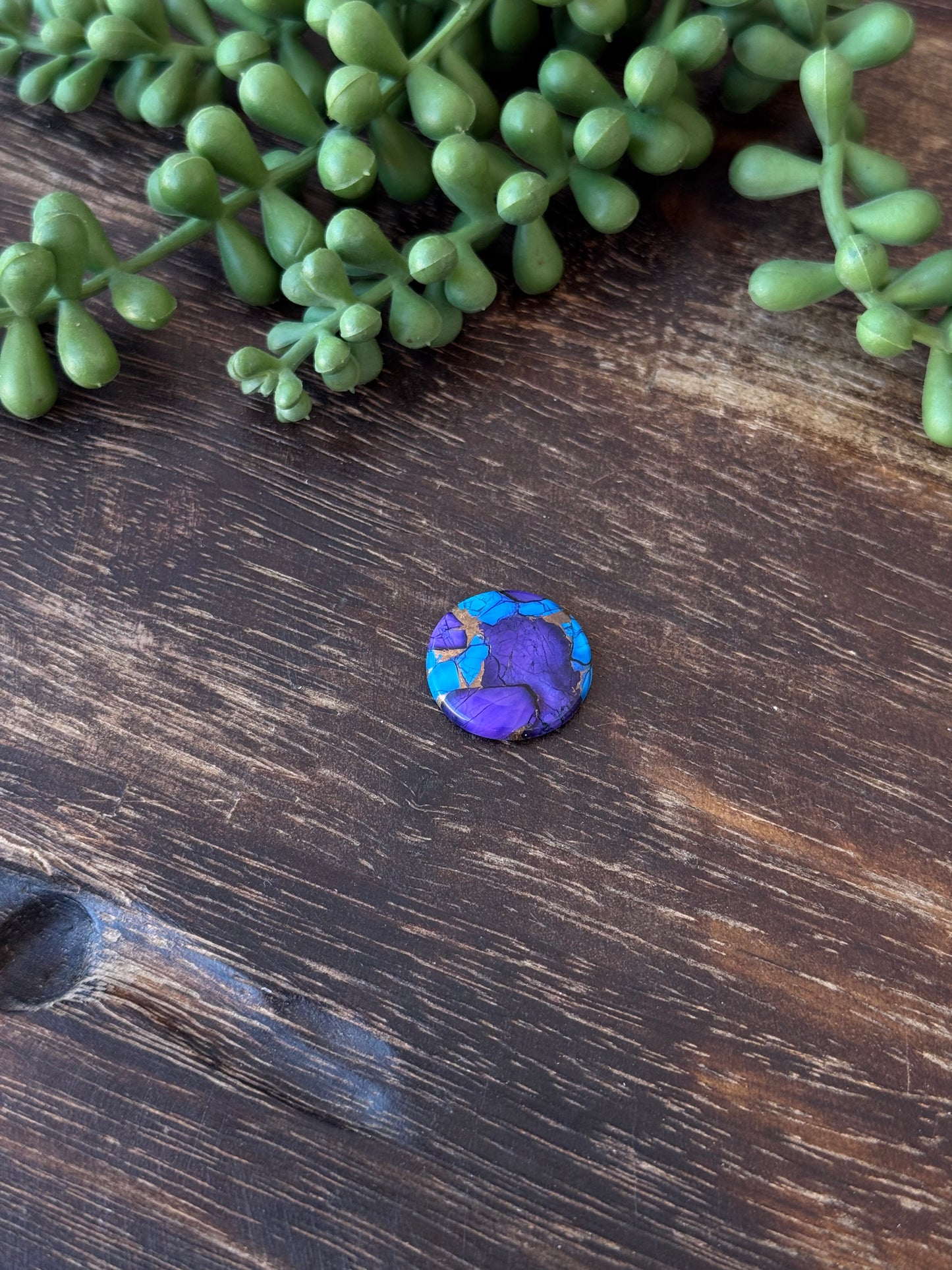 Purple Dahlia Composite Cabs