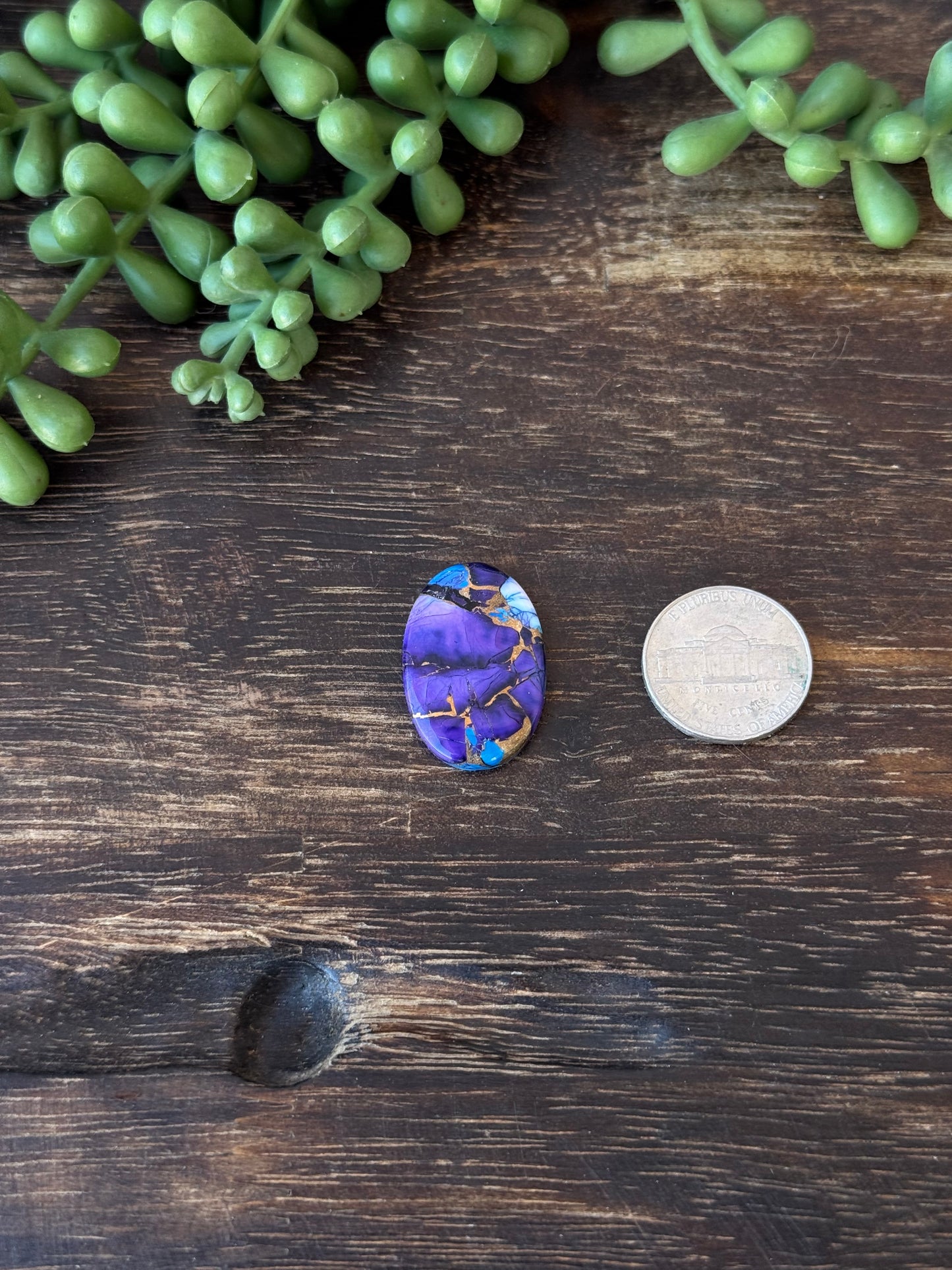 Purple Dahlia Composite Cabs