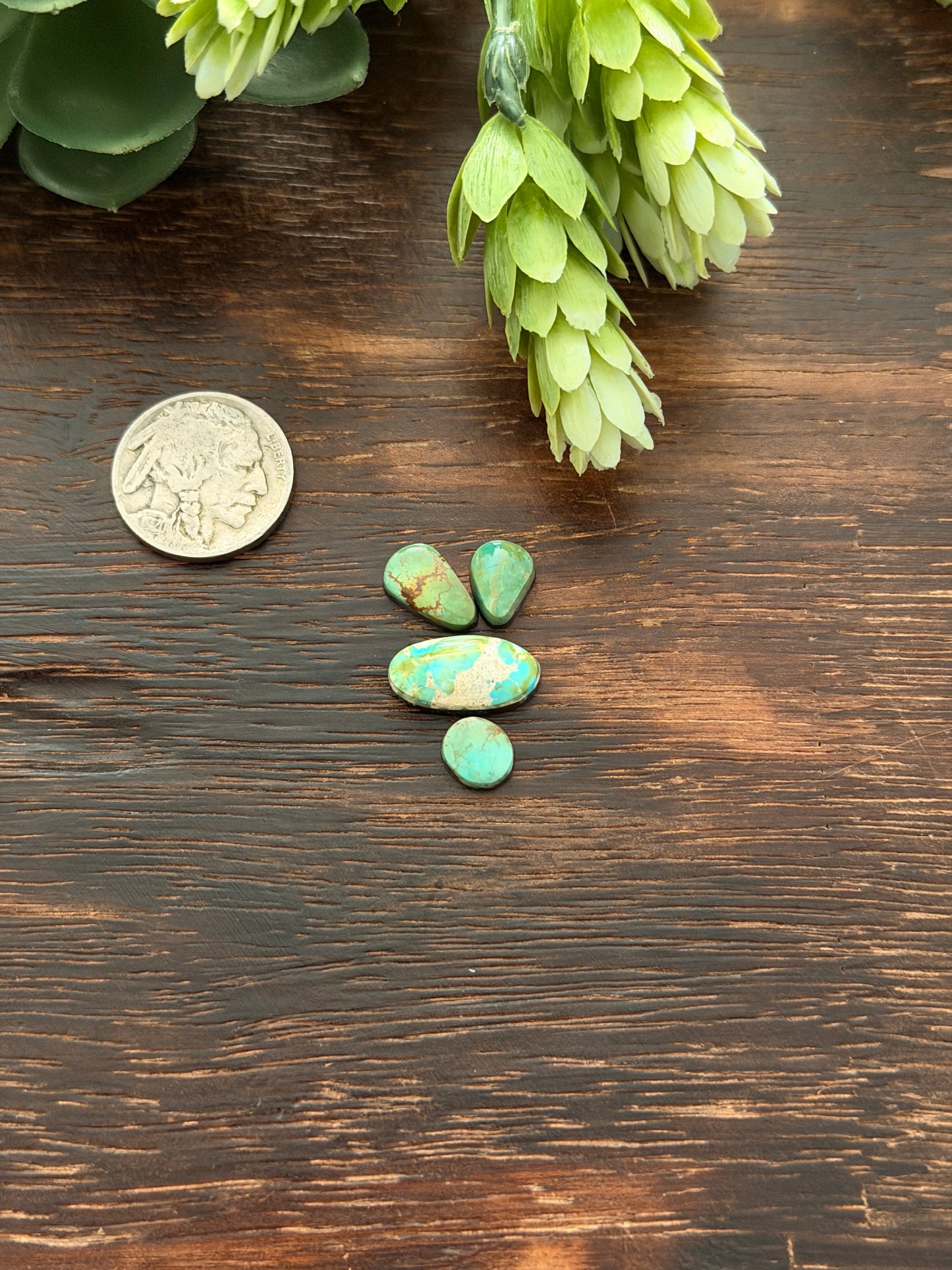 Evans Turquoise Cabs