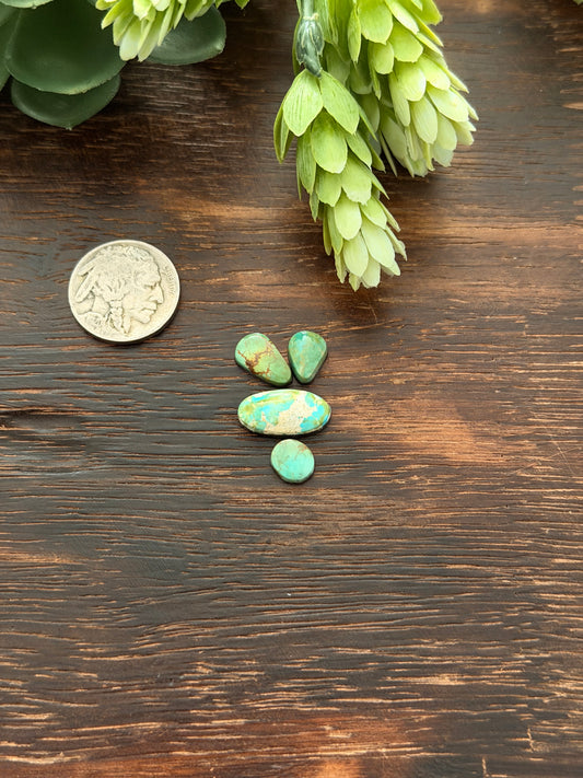 Evans Turquoise Cabs