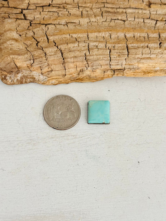 Natural Kings Manassa Turquoise Cab