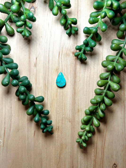 Kingman Turquoise Cab