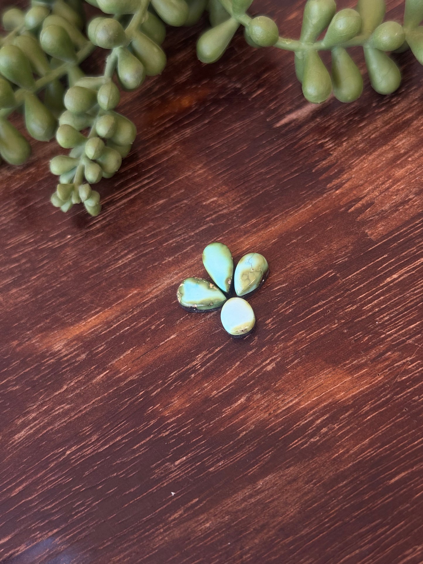Sonoran Mountain Turquoise Cabs