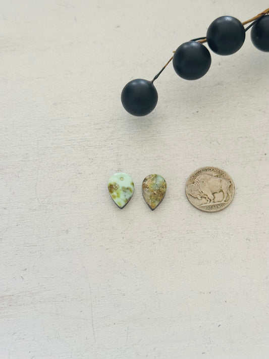 Palomino Variscite Cabs