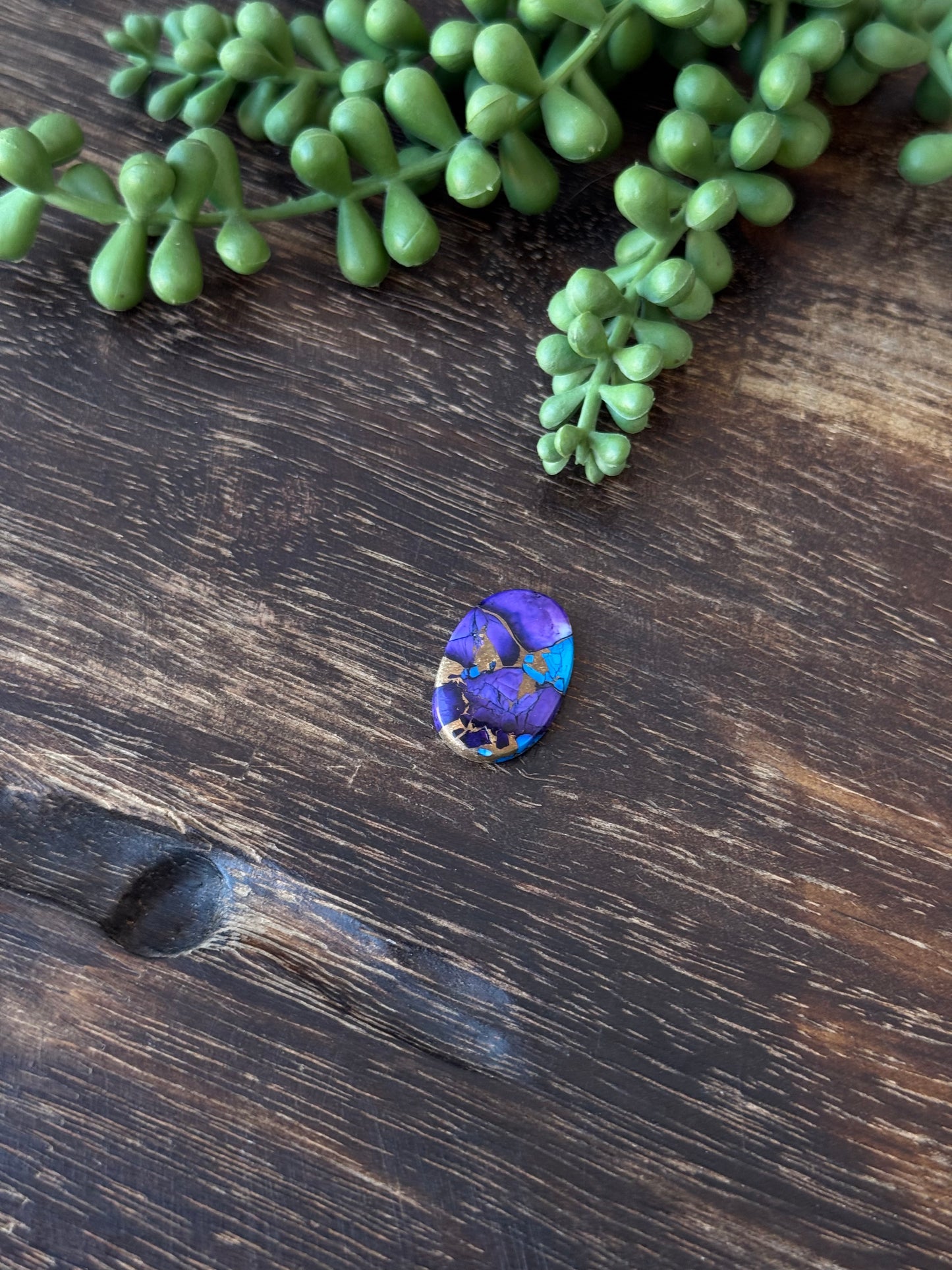 Purple Dahlia Composite Cabs