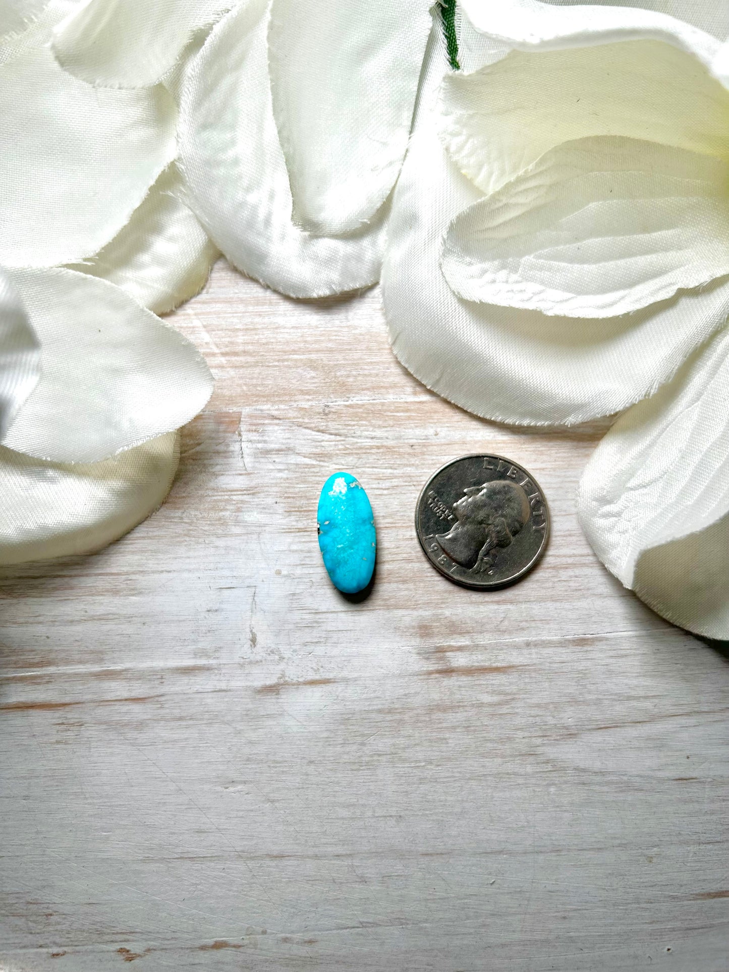 Blue Ridge Turquoise Cab