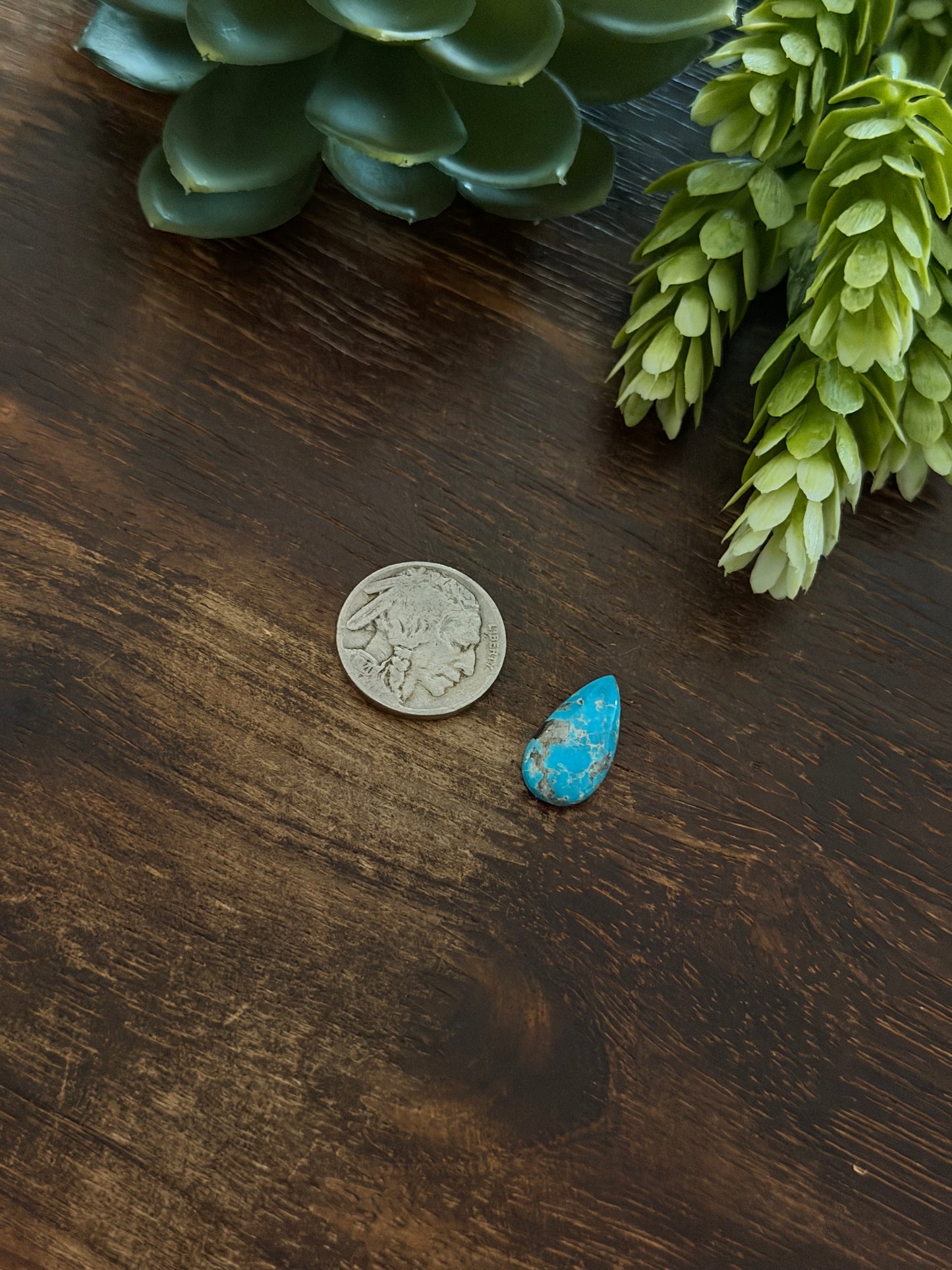 Blue Bird Turquoise Cab