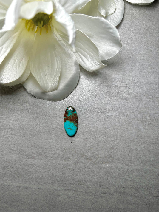 Kingman Turquoise Cab