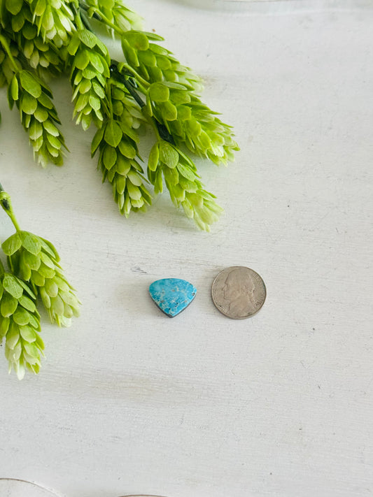 Blue Bird Turquoise Cab
