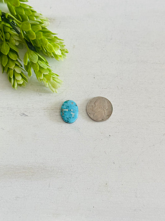 Blue Bird Turquoise Cab