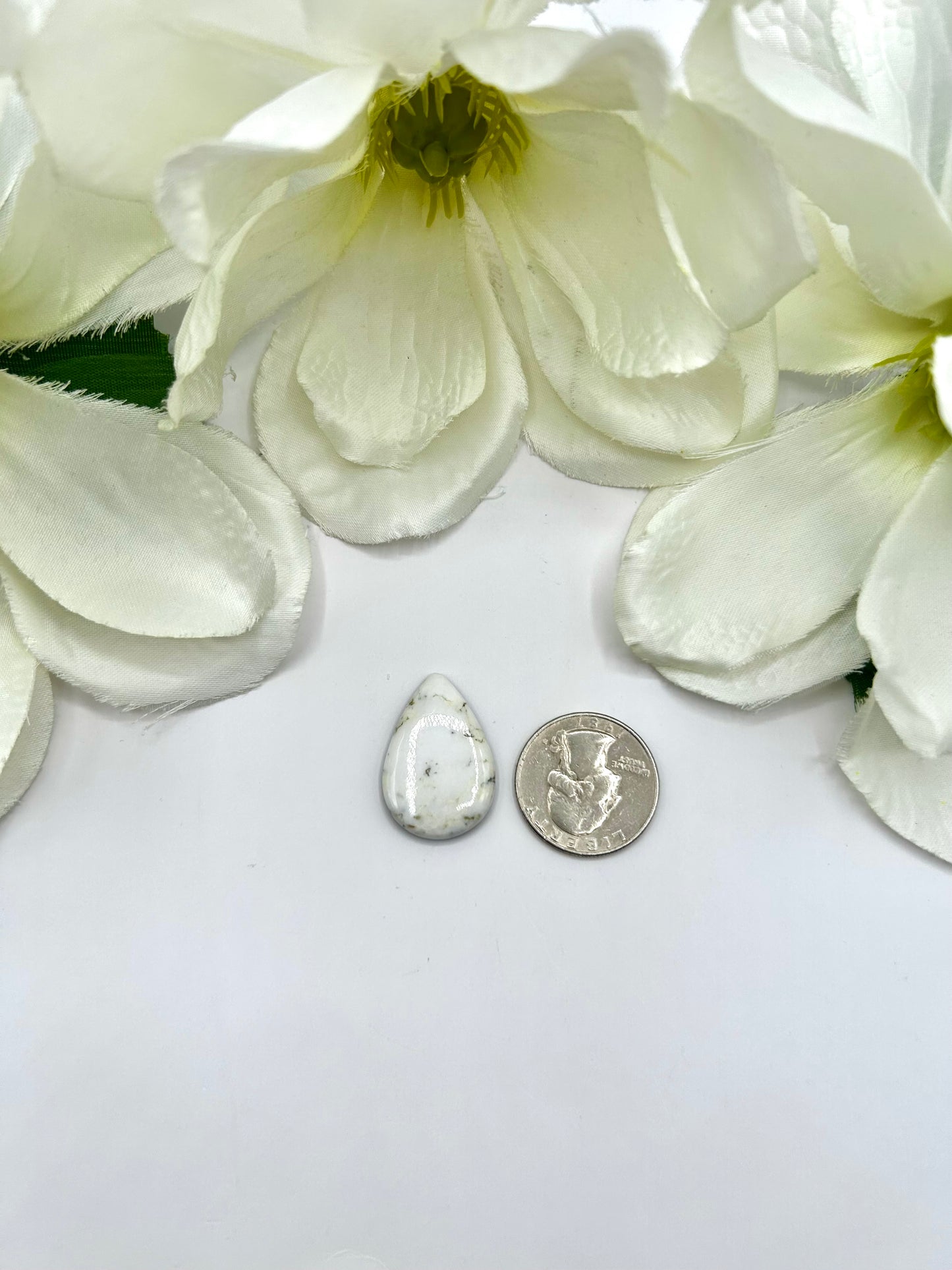 White Buffalo Cabs