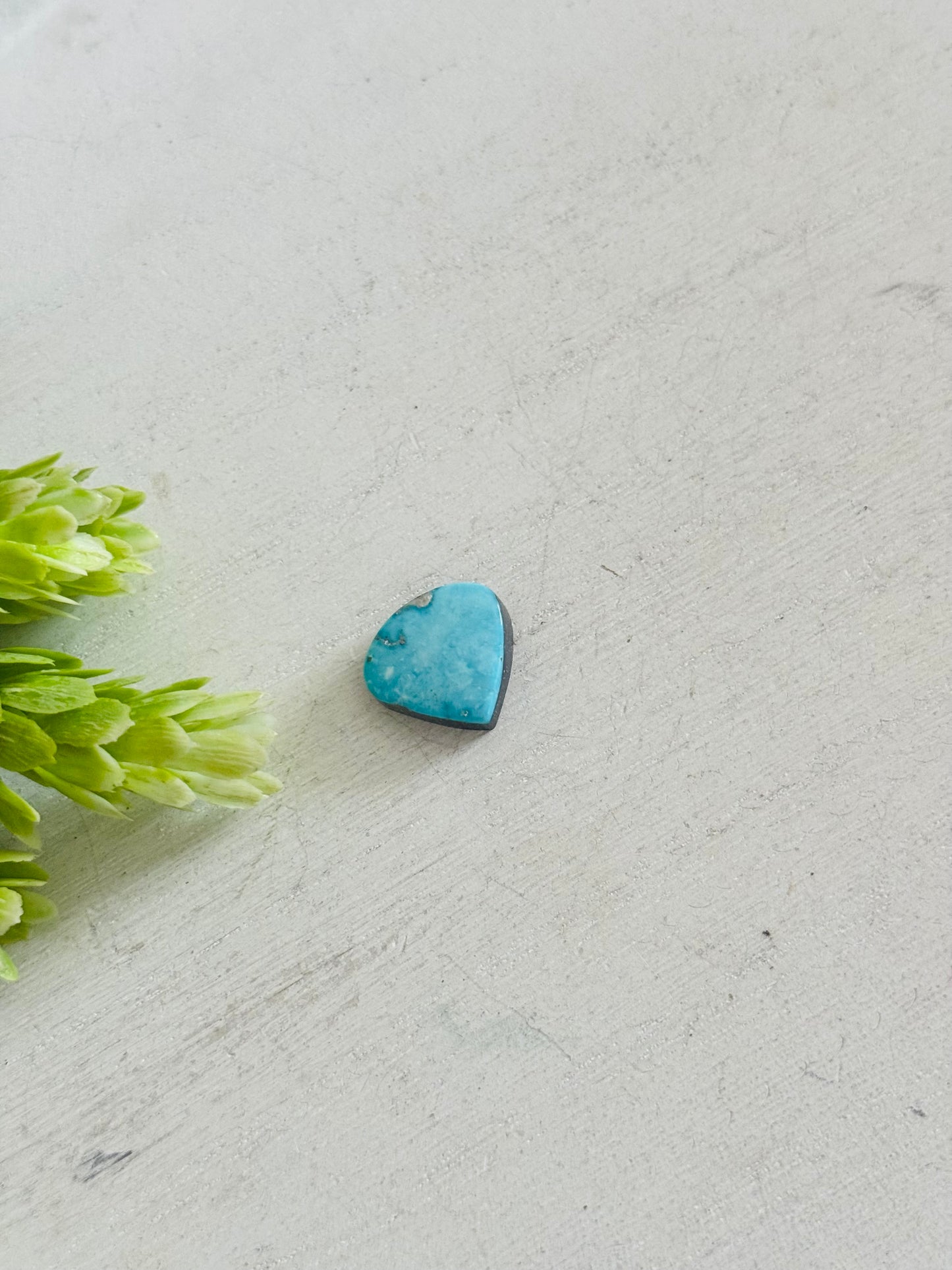 Blue Bird Turquoise Cab
