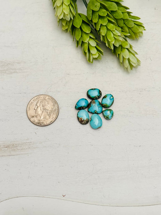 Sonoran Mountain Turquoise Backed Cabs